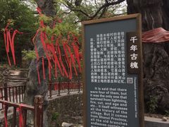 -水峪民俗村