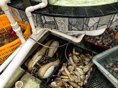 -沙田台山海鲜·酣客酒窖