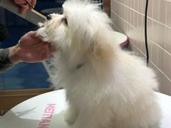 -FAELING PETS美天灵宠物(富力广场店)