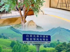 -白茶原·一片叶子