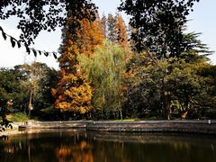 -八大关景区