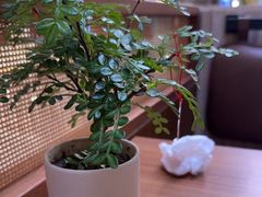 -CURRY YA 熟成咖哩專門店(深圳湾万象城店)