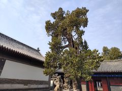 -孔府