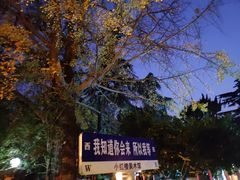 -不舍昼夜咖啡馆