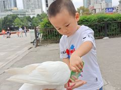 -绵阳人民公园(涪城区)