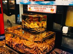 -蟹道乐(道顿堀本店)