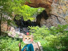 -大连天门山国家森林公园