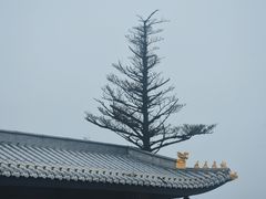 -峨眉山风景名胜区