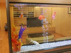 -中山大学附属第六医院(院本部)