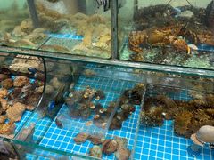 -渔码头食府·20年蓬莱老字号(登州路店)