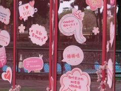 -观澜湖生态运动公社