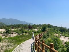 -白水寺森林公园