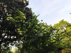 -钱王祠