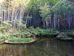 -石塘人家