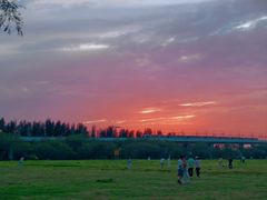 -宝安西湾红树林湿地公园