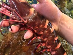 -顺德了能馆(虎门店)