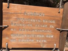 -棒棰岛宾馆景区