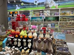 -JOYCODE(大红门银泰百货店)