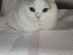 -爱侣宠医·鹦鹉专科·小型哺乳类·异宠专科(灵石路店)