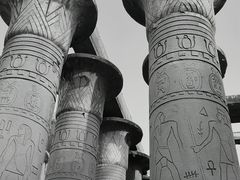 -北京世界公园