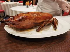 -香乐园·淮扬菜中餐厅·Shang Garden(福田香格里拉店)