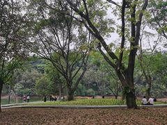 -广州市白云山风景名胜区
