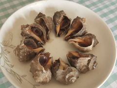 -前海沿·海鲜水饺青岛菜(乐客城店)