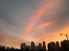 -群力丁香公园