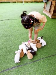 -萌宠亲子动物乐园(槐房万达店)