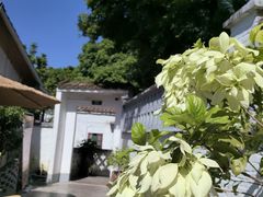 -天然居(伦教店)