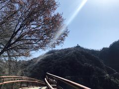 -少华山国家森林公园