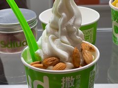 -Salud撒露欧洲冻酸奶(北苑上品店)