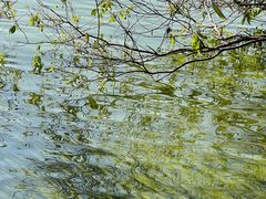 -西昌邛海湿地
