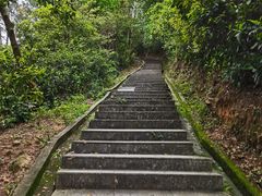 -火炉山森林公园