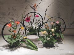 -扬州大运河文化旅游度假区·盆景园