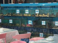 水产区-范饭椰林川湘味海鲜·椰子鸡(三亚湾椰梦长廊店)
