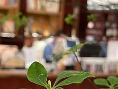 -二酉书店TOYOU BOOKS