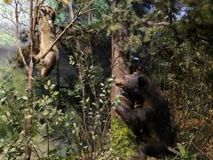 -陕西自然博物馆