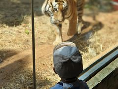 -昆明动物园