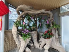 -石家庄市植物园