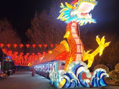 -南宫五洲植物乐园