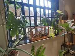 -一尺花园(安和花园店)