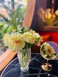 -花隐·美芙炫海菲秀皮肤管理中心