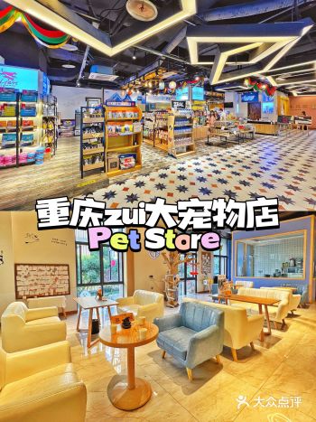 重庆宠物店天花板️敲大宠物超市美容护理