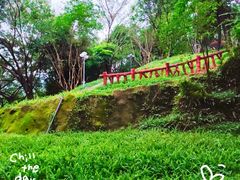 -深圳龙潭公园