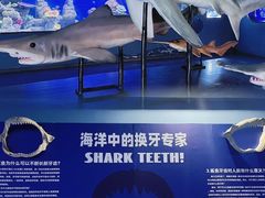 -重庆欢乐海底世界