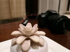 -苏州文旅花间堂·探花府酒店