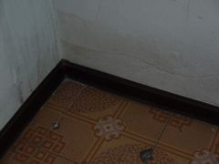 发霉的墙角-哈尔滨北方国际青年旅舍(中央大街店)