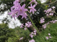 -贵阳市花溪国家城市湿地公园