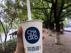 豆乳玉麒麟-茶百道(湖墅潮王路店)